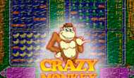 Crazy Monkey